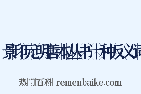 景印元明善本丛书十种反义词是什么意思的图片